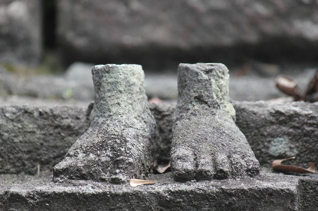 ¿Qué revelan los pies sobre la historia evolutiva del ser humano?