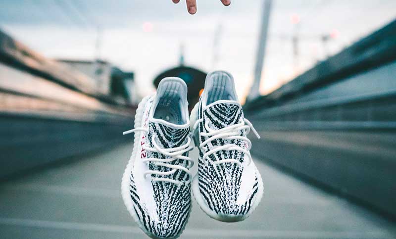 Plantillas antibacterias y antimicrobianas