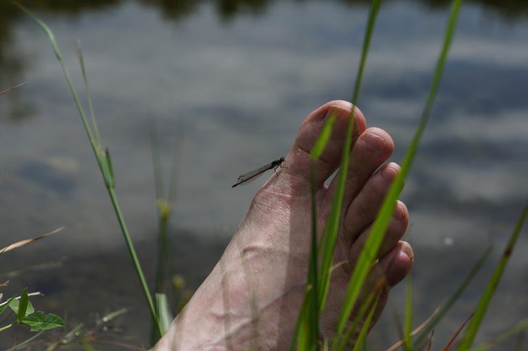 ¿Pueden los pies crecer de tamaño con la edad?