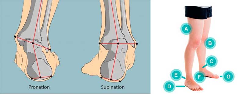 Seguir Especial Reproducir ▷ Plantillas para supinadores